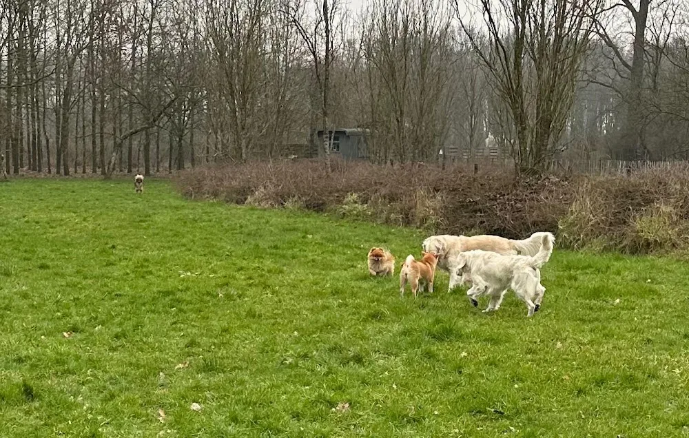 Hof ter Klauwe - Zeeland pet otel