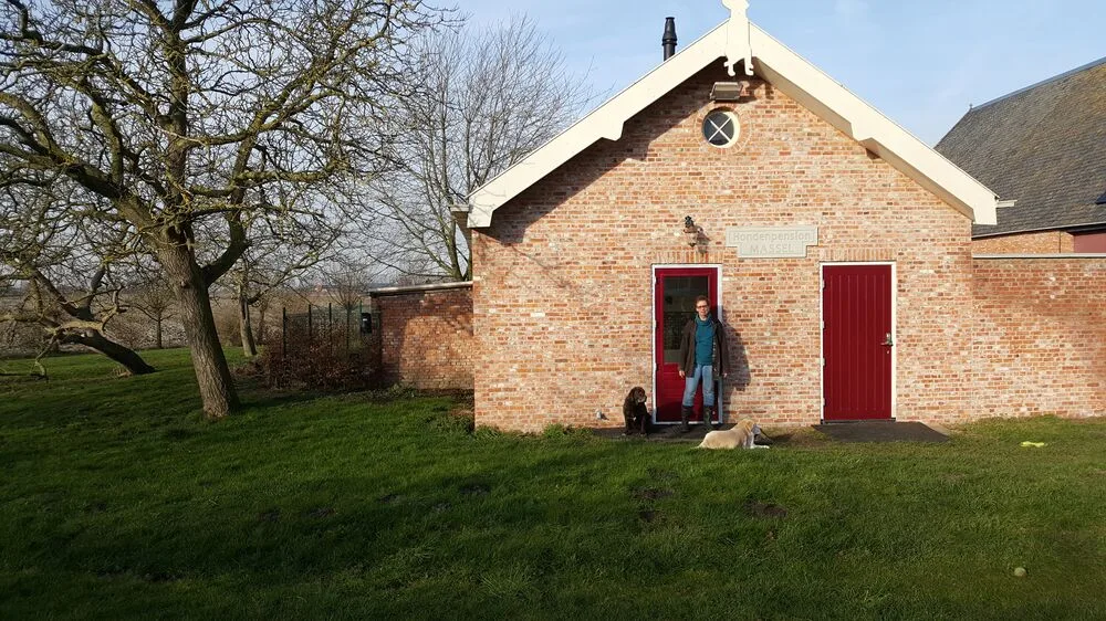 Hondenpension Massel - Zeeland pet otel görseli 3