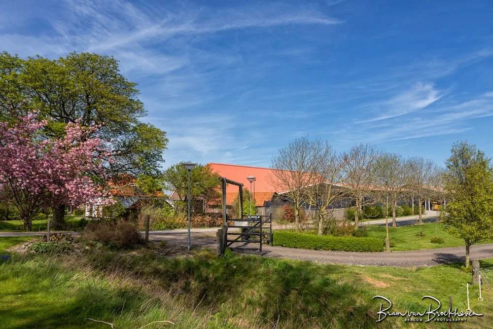 Hondenresort De Kamperhoeve🐕 - Zeeland pet otel görseli 3