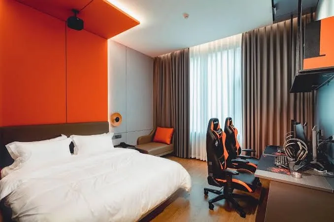 Ryan Cat Coffetel E-sports Hotel - Zhejiang pet otel