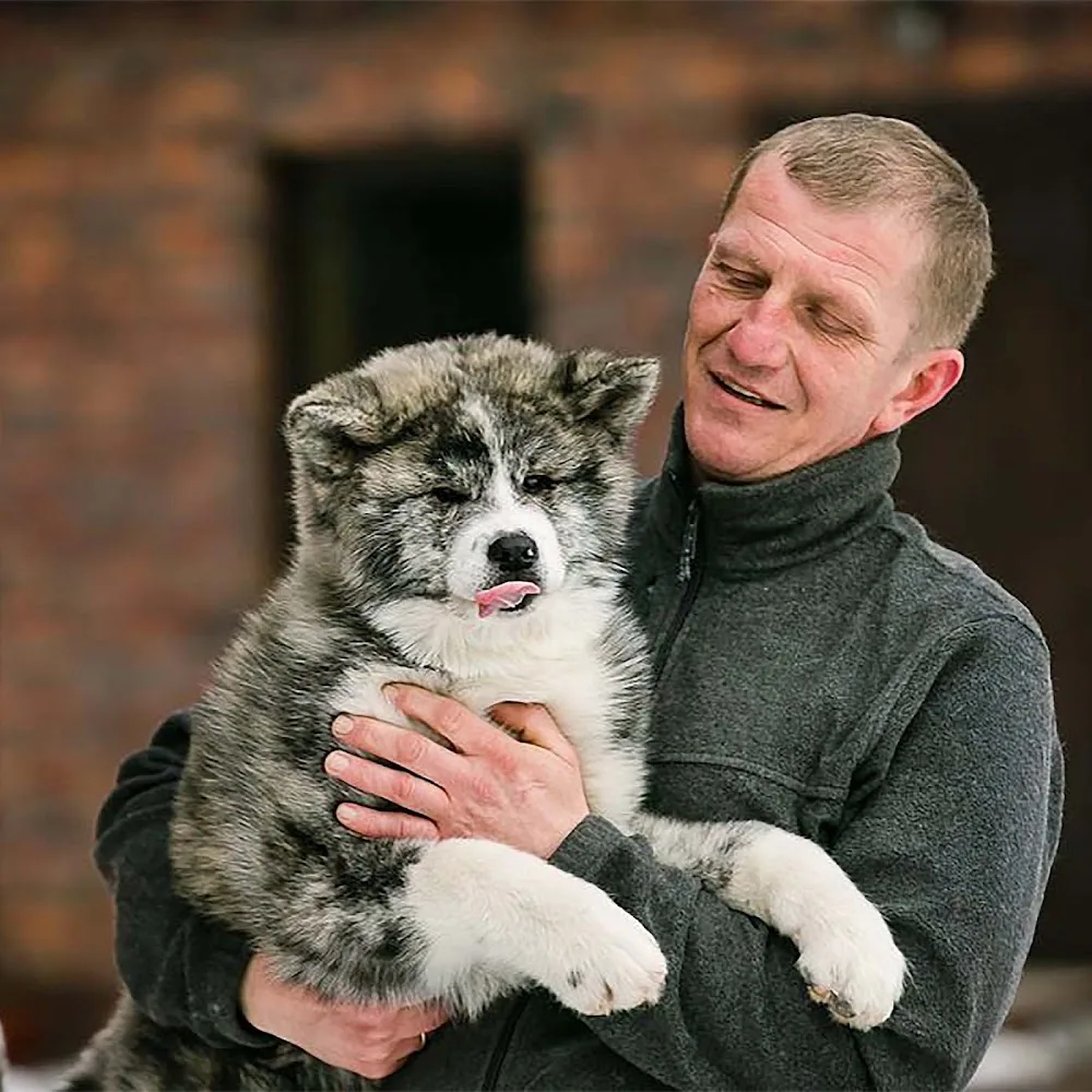KOUKUFUNAINU - Akita-inu, Shiba-inu and Hokkaido Kennel - Zhytomyrska pet otel görseli 3