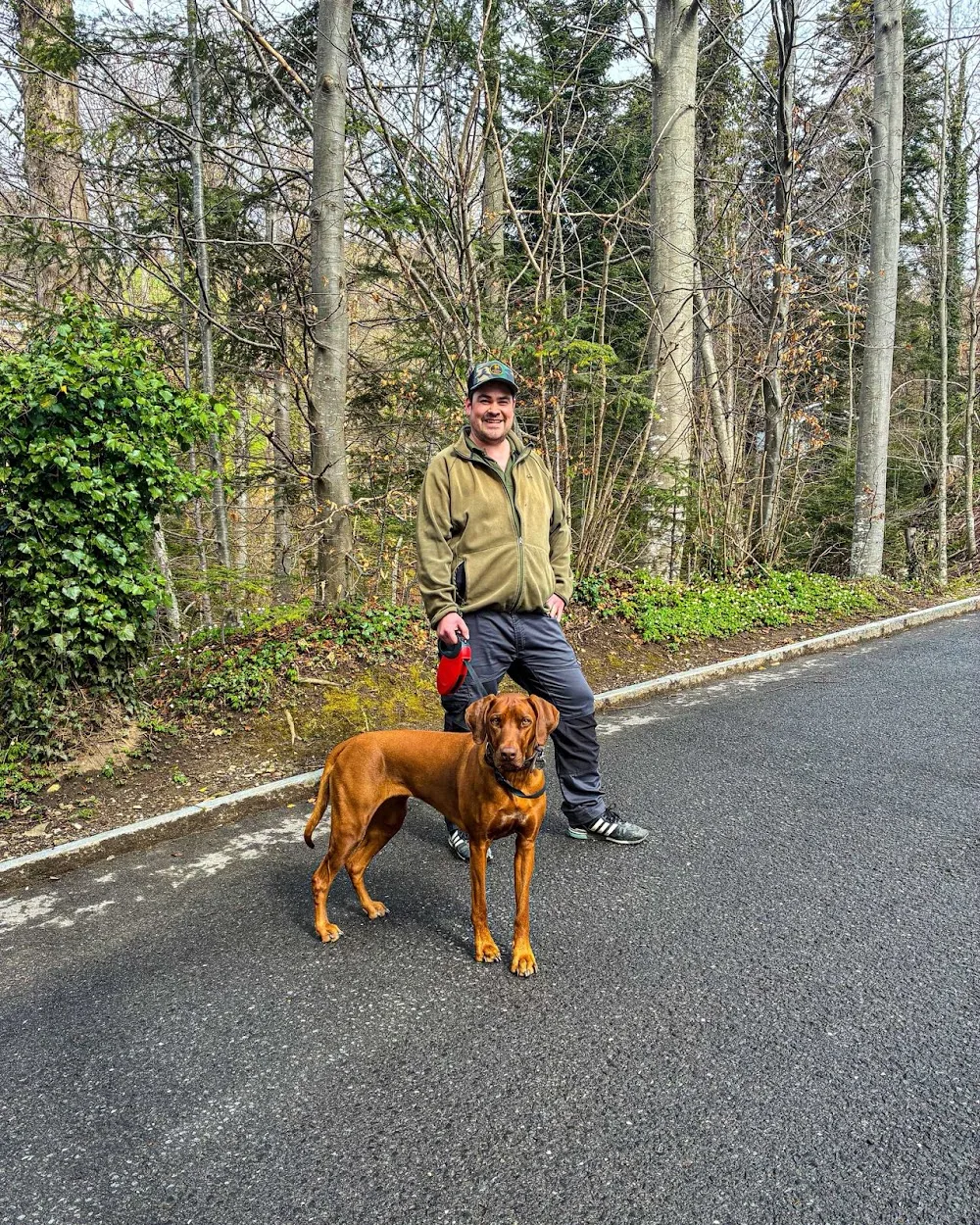 Hundepension Rigiblick - Zug pet otel görseli 2