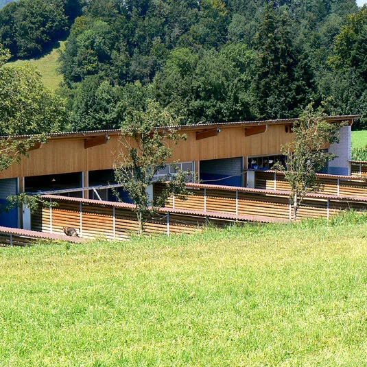 Hundestation Neuheim - Zug pet otel