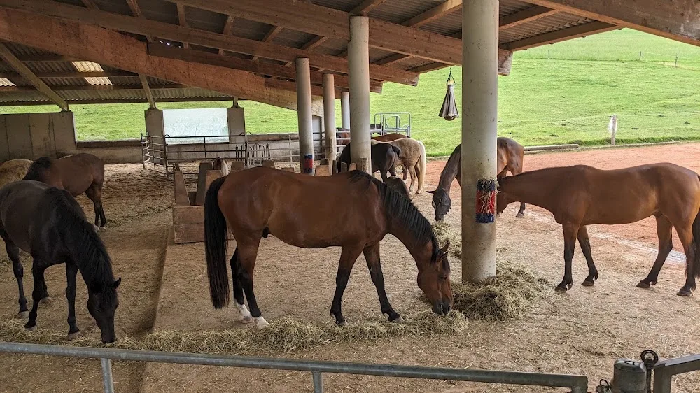 Hundestation Neuheim - Zug pet otel görseli 3