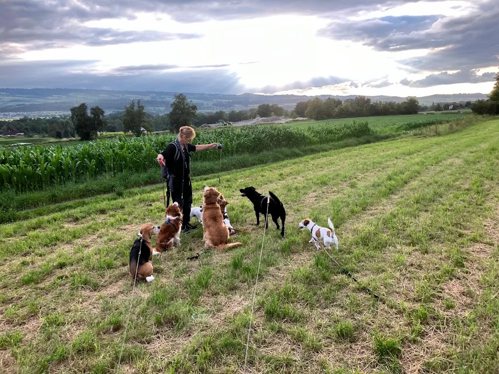 Waunest - Private Hundebetreuung - Zug pet otel