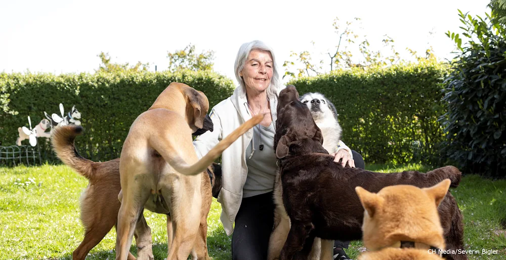 Hundekrippe Limmattal - Zurich pet otel