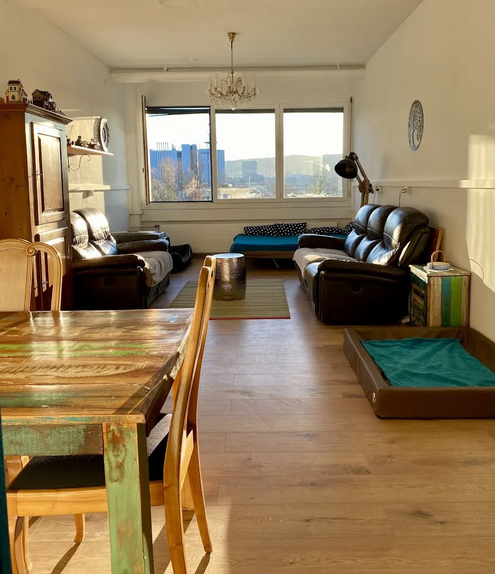 Josi‘s Hundebetreuung - Zurich pet otel
