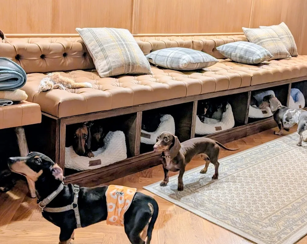 The Social Sausage - Zurich pet otel görseli 3