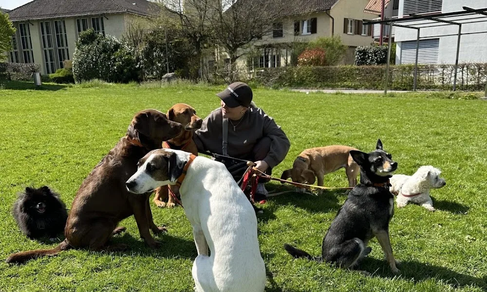 Züri Schnauze - Zurich pet otel görseli 2
