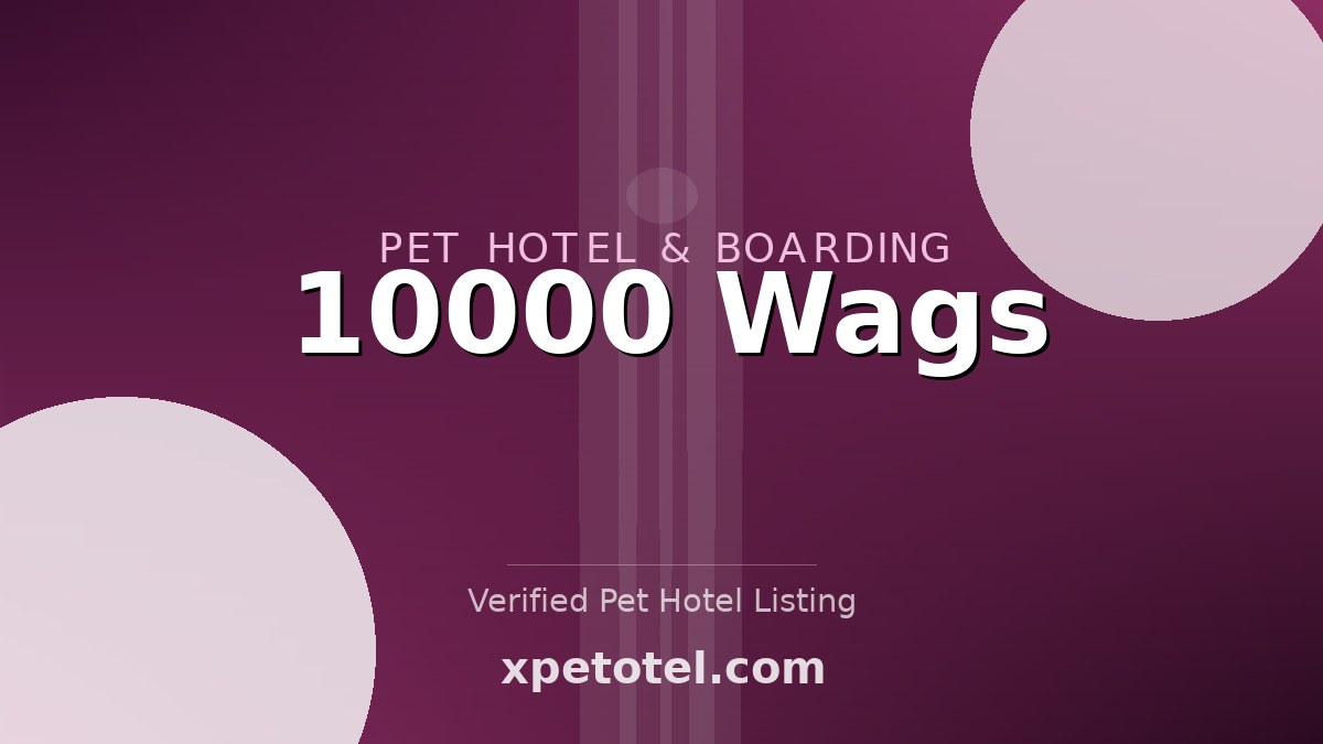 10000 Wags pet hotel United States