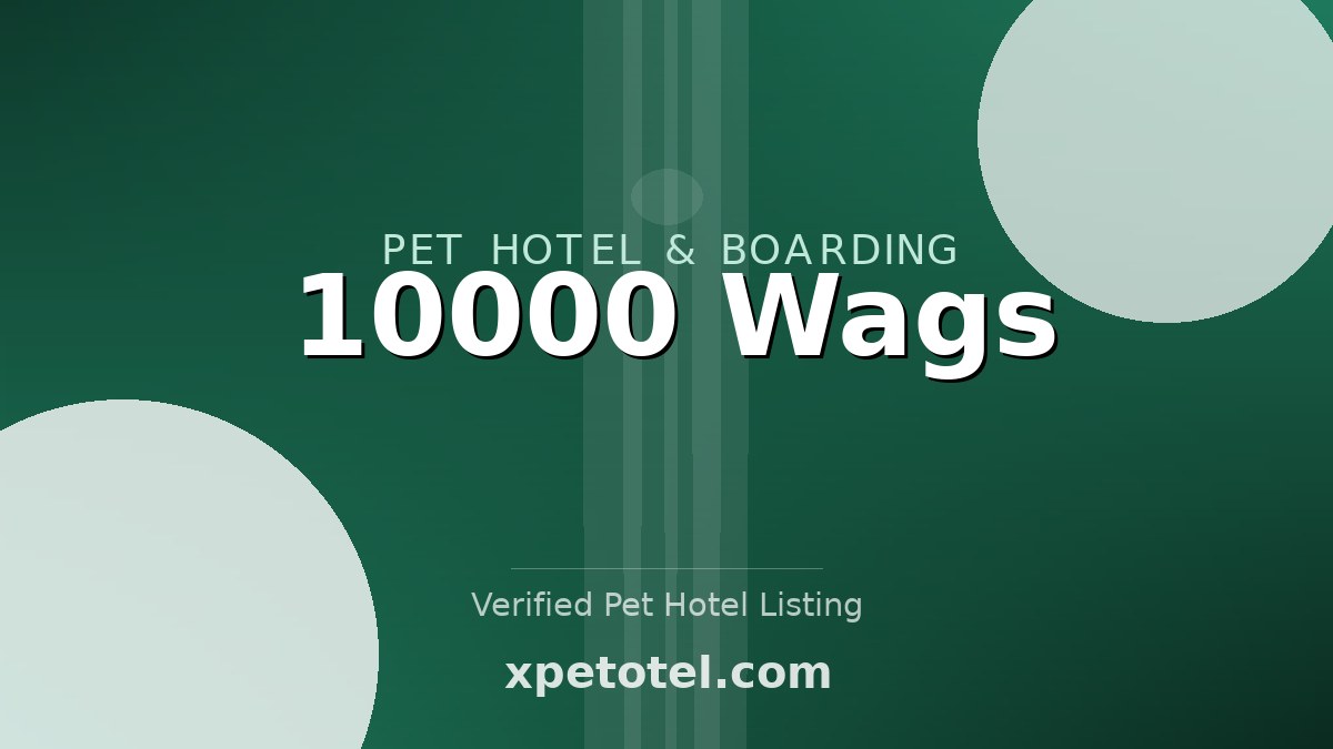10000 Wags