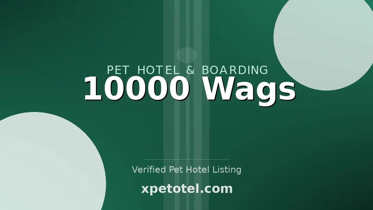 10000 Wags