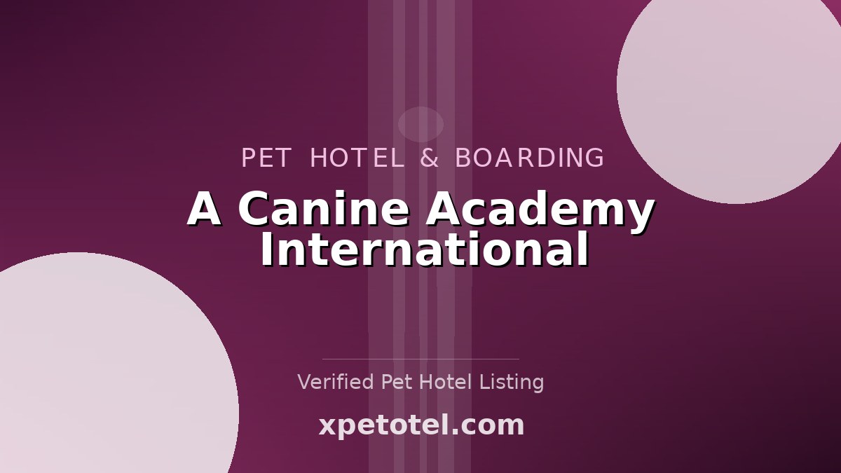 A Canine Academy International pet hotel Phoenix