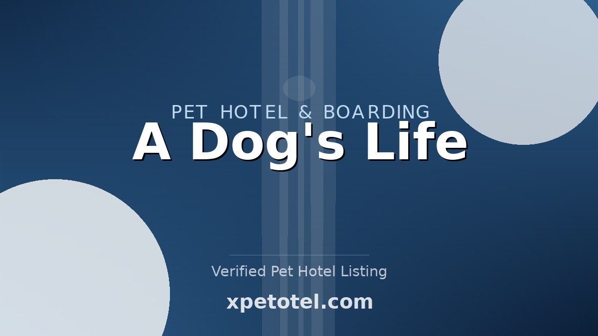 A Dog's Life pet hotel Palo Alto