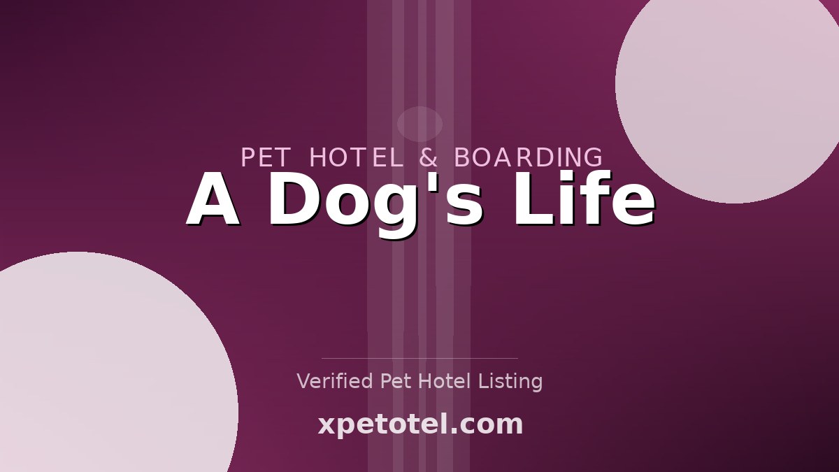 A Dog's Life pet hotel Palo Alto