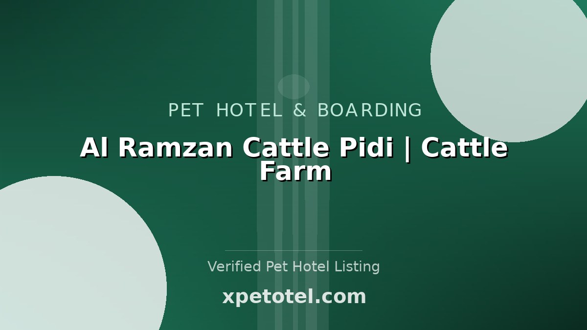 Al Ramzan Cattle Pidi | Cattle Farm