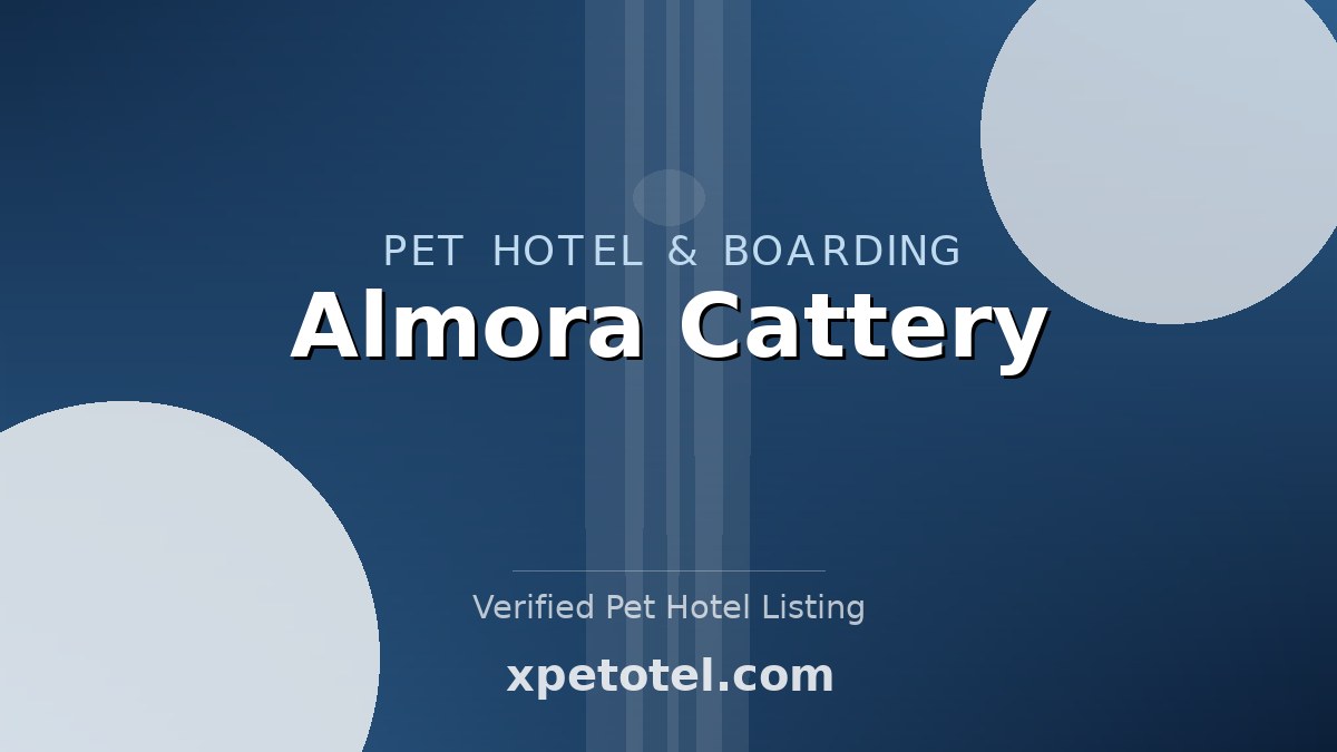 Almora Cattery pet hotel Chesterfield