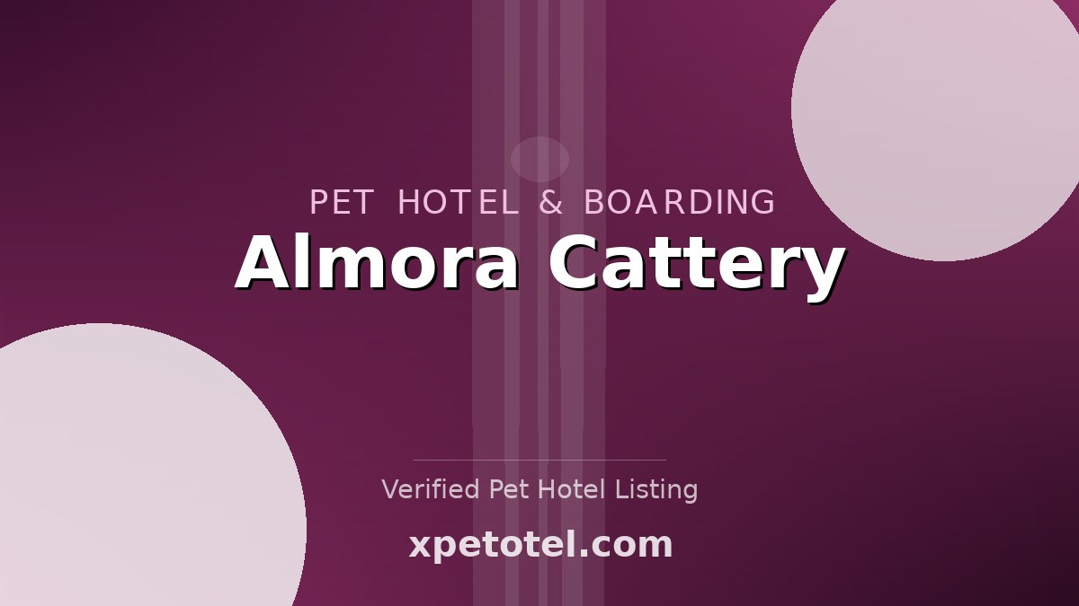 Almora Cattery pet hotel Chesterfield