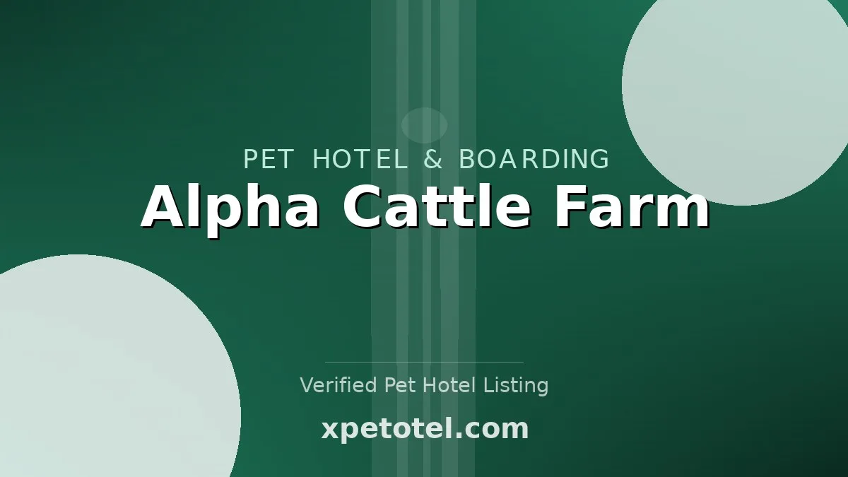 Alpha Cattle Farm