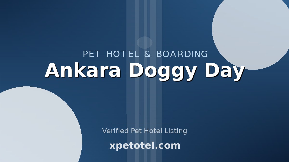 Ankara Doggy Day pet hotel Ankara