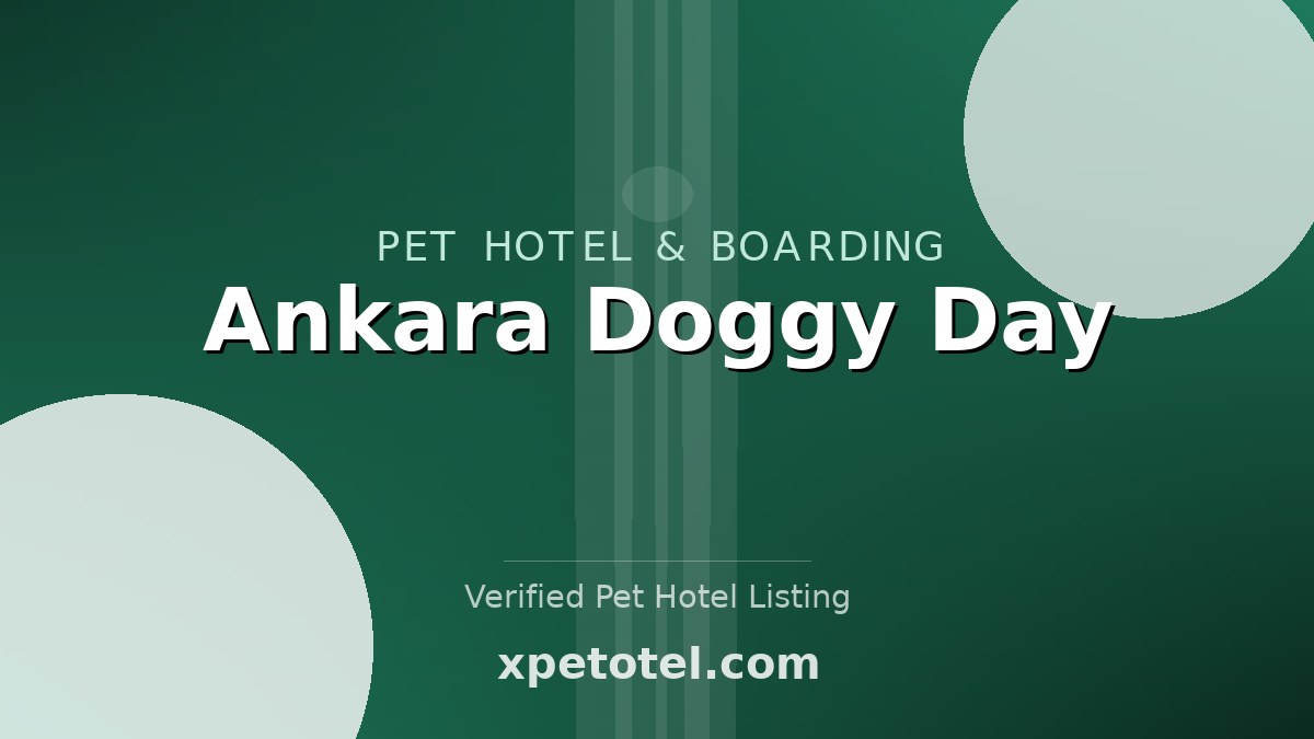 Ankara Doggy Day