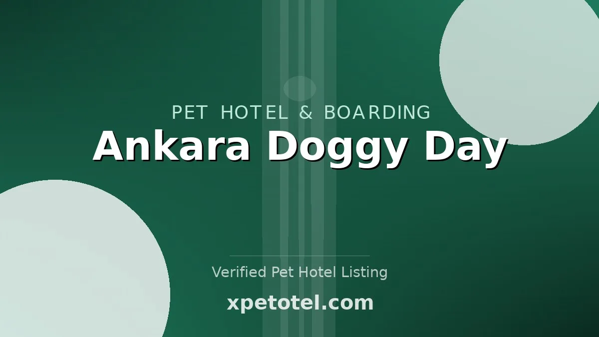 Ankara Doggy Day