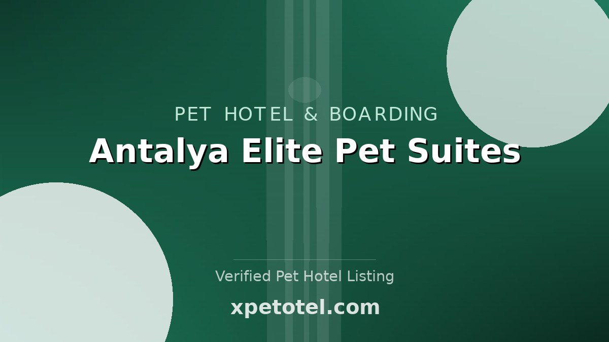 Antalya Elite Pet Suites