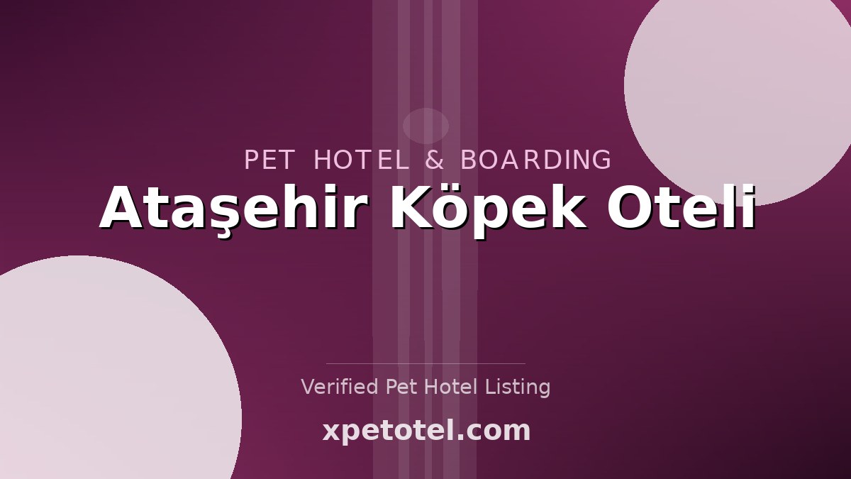 Ataşehir Köpek Oteli pet hotel Istanbul