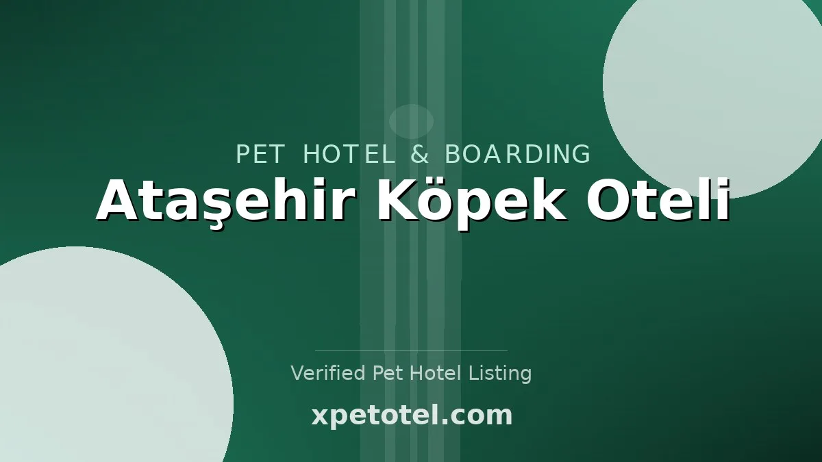 Ataşehir Köpek Oteli