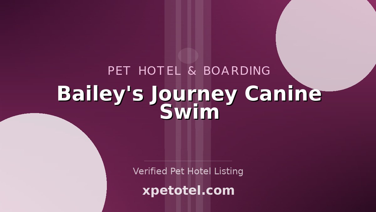 Bailey's Journey Canine Swim pet hotel Salem