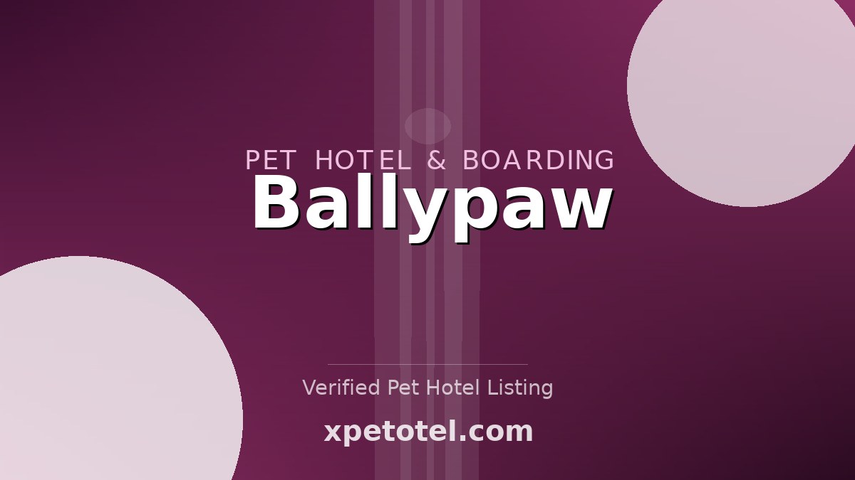 Ballypaw pet hotel Strabane