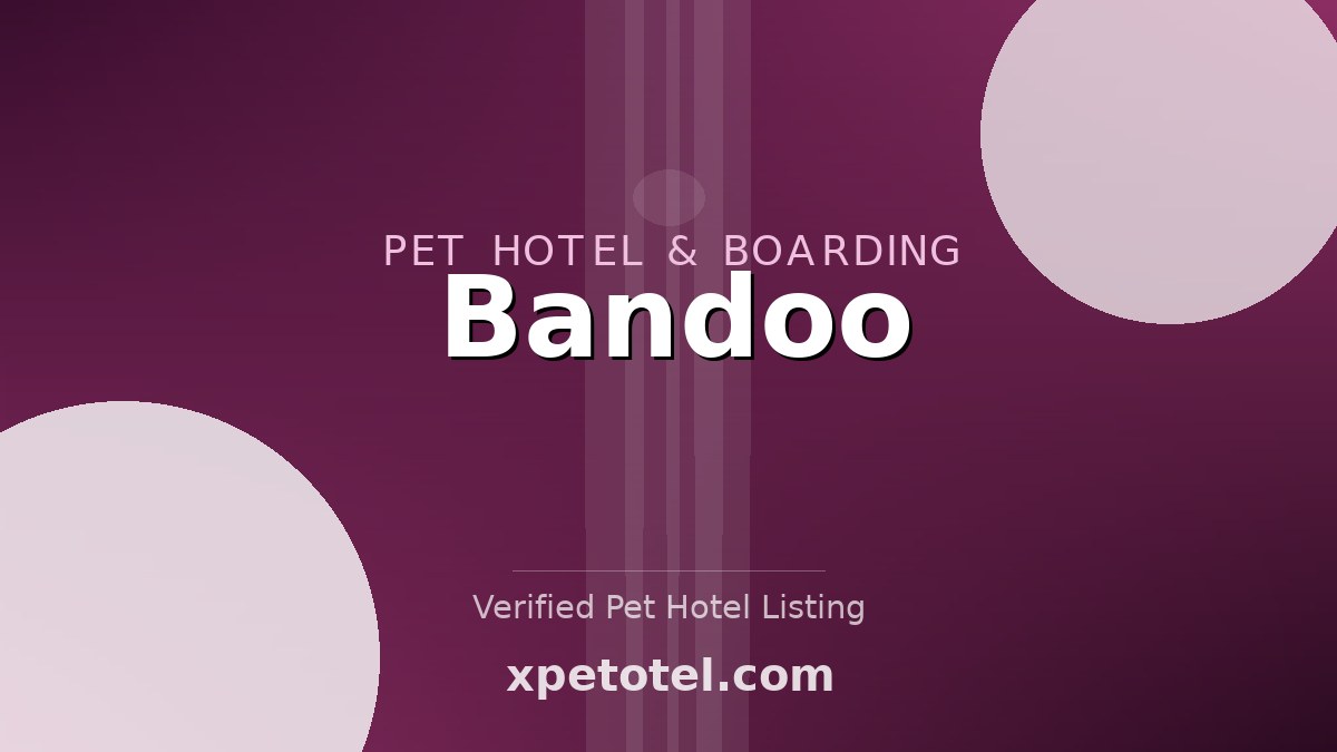 Bandoo pet hotel Campinas