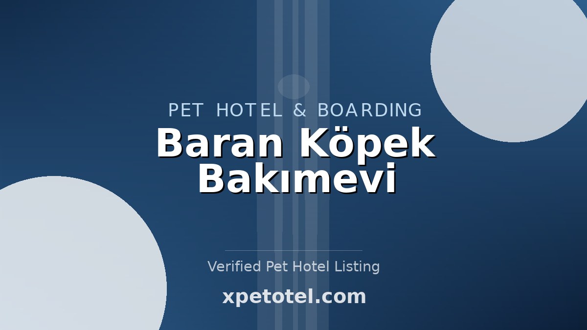 Baran Köpek Bakımevi pet hotel Istanbul