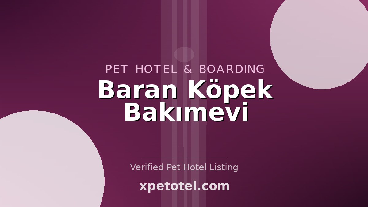 Baran Köpek Bakımevi pet hotel Istanbul