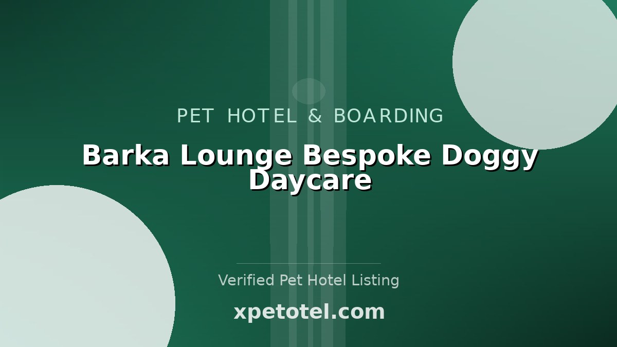 Barka Lounge Bespoke Doggy Daycare