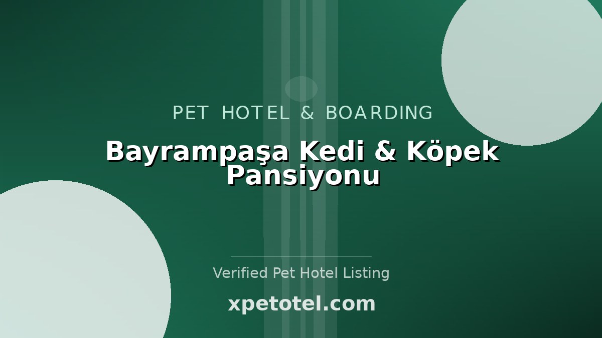 Bayrampaşa Kedi & Köpek Pansiyonu