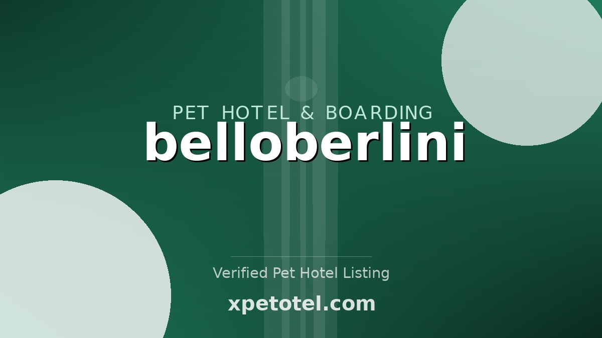 belloberlini