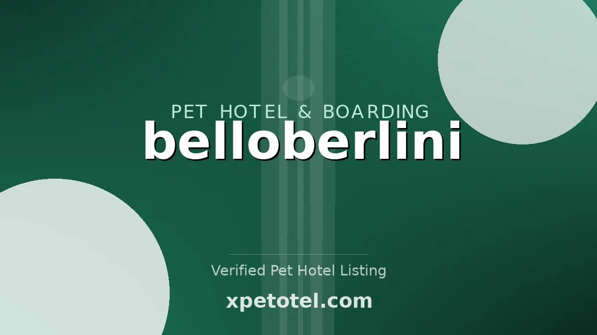 belloberlini