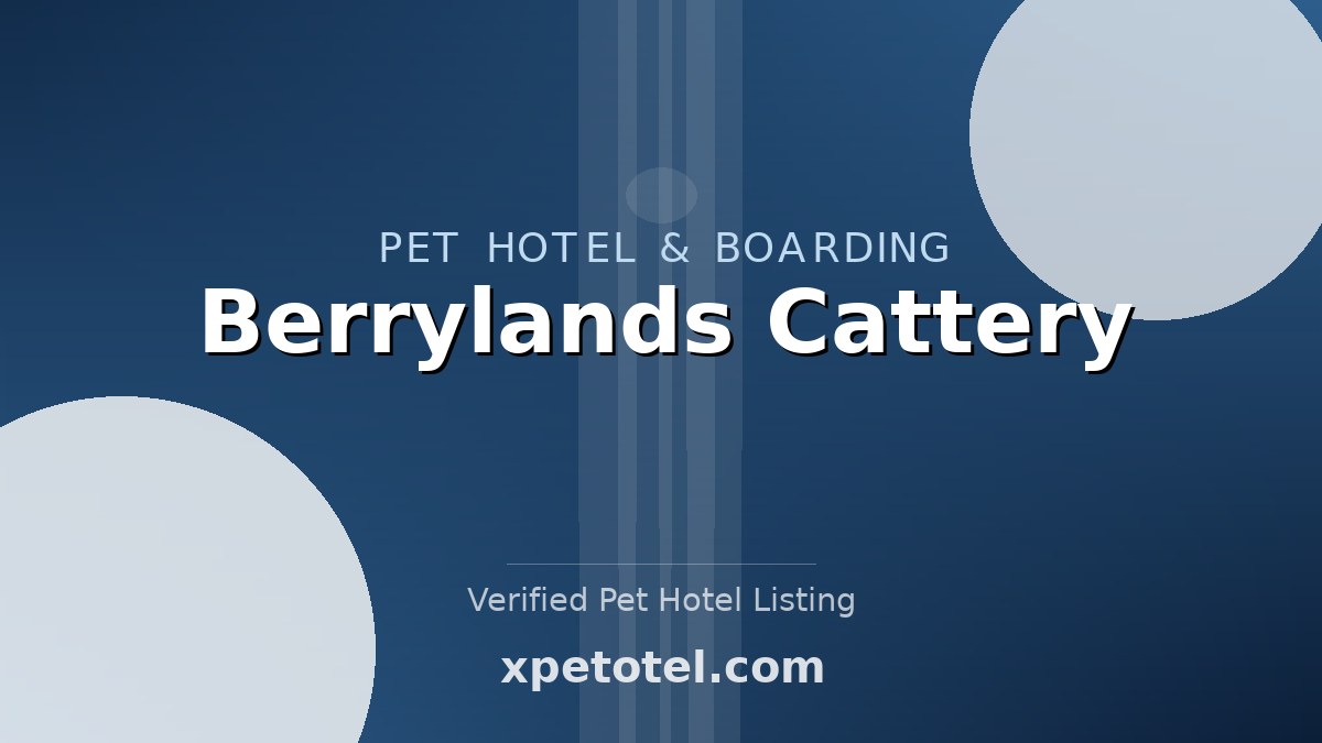 Berrylands Cattery pet hotel Richmond