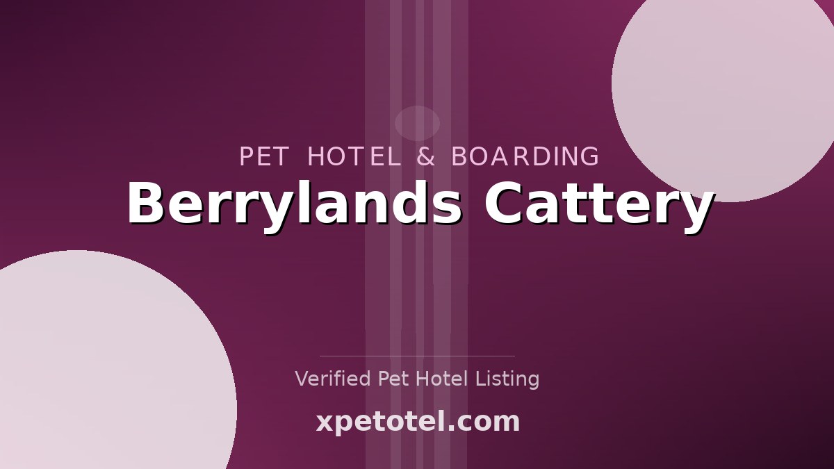 Berrylands Cattery pet hotel Richmond