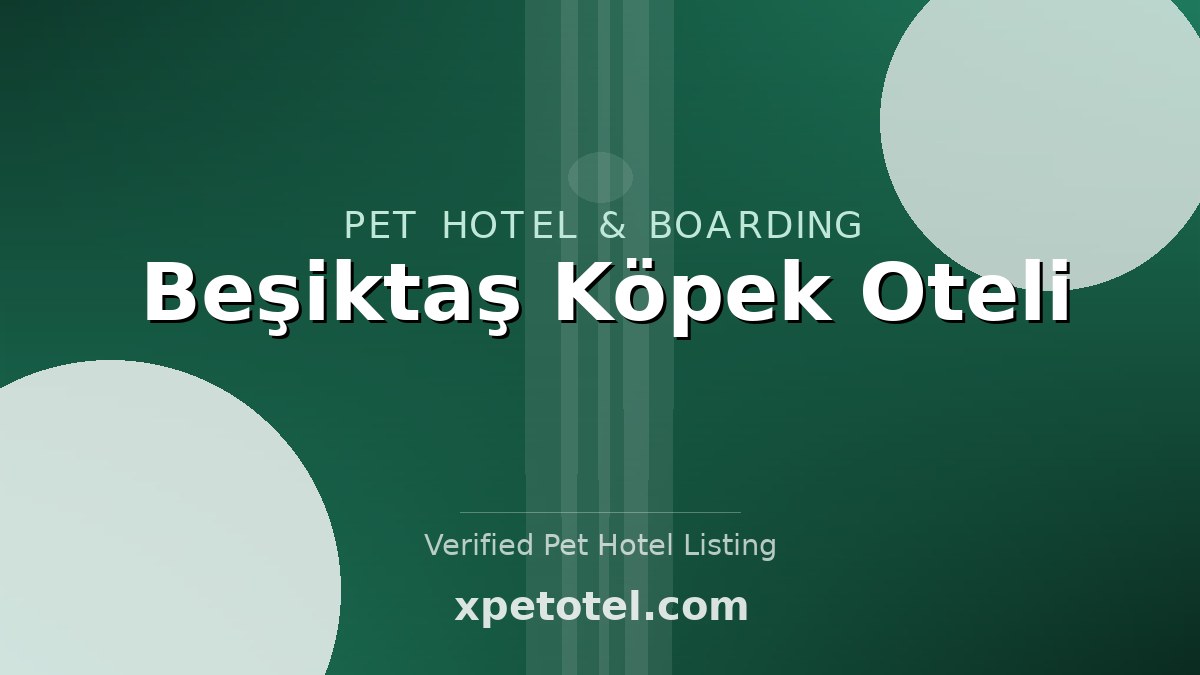 Beşiktaş Köpek Oteli