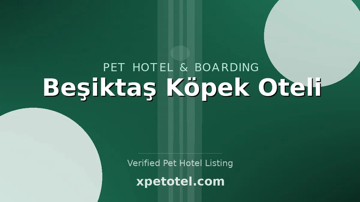 Beşiktaş Köpek Oteli