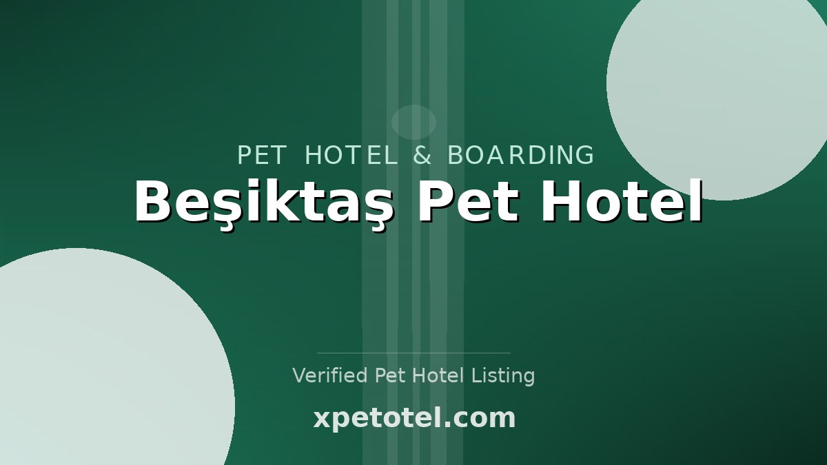 Beşiktaş Pet Hotel