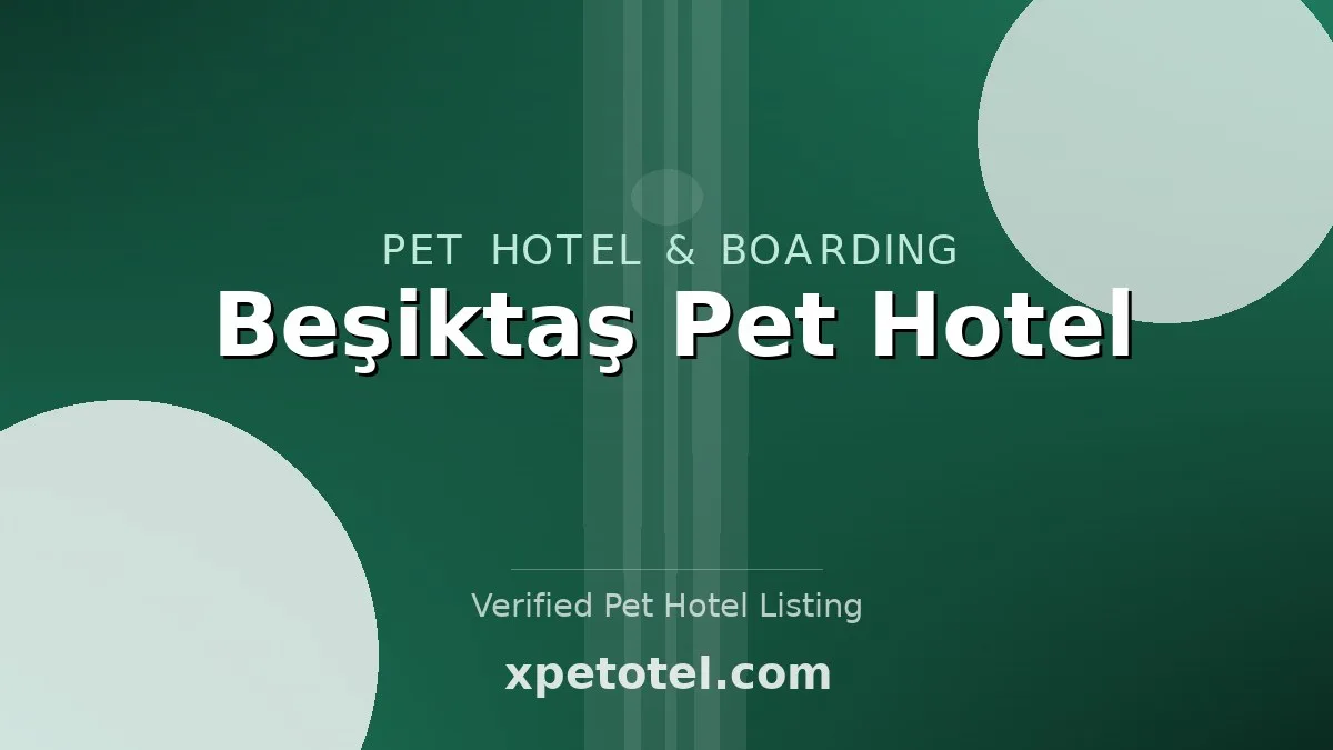 Beşiktaş Pet Hotel
