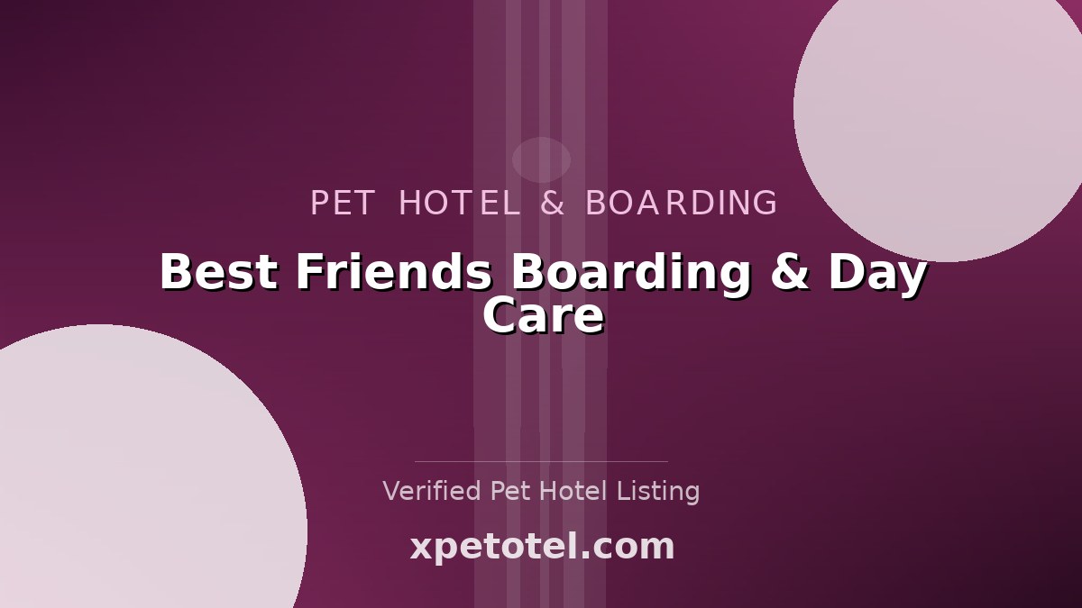 Best Friends Boarding & Day Care pet hotel Weehawken