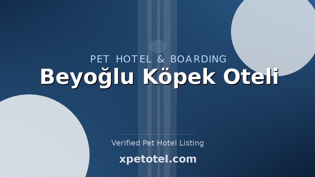 Beyoğlu Köpek Oteli pet hotel Istanbul