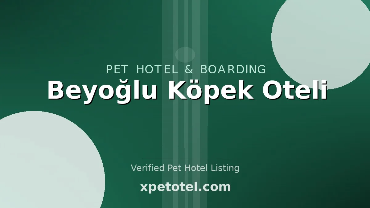Beyoğlu Köpek Oteli