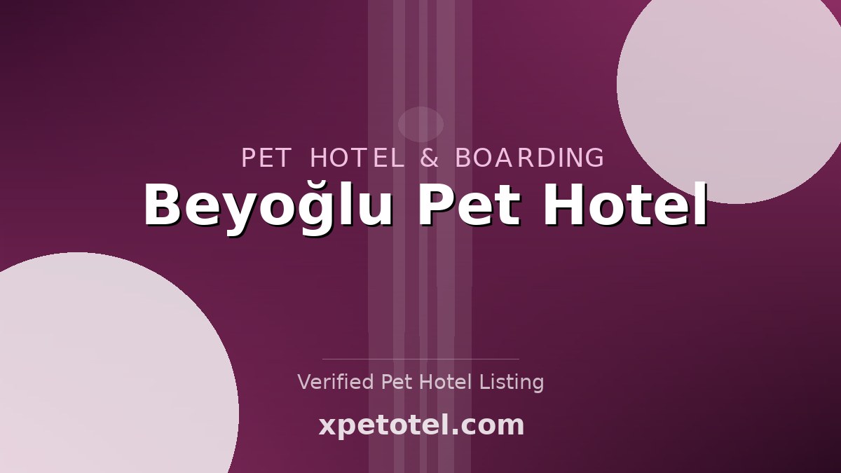 Beyoğlu Pet Hotel pet hotel Istanbul