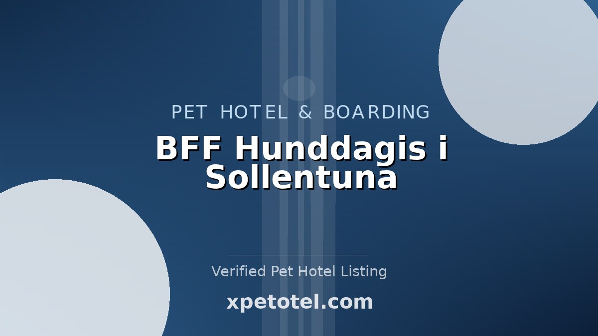 BFF Hunddagis i Sollentuna pet hotel Sollentuna