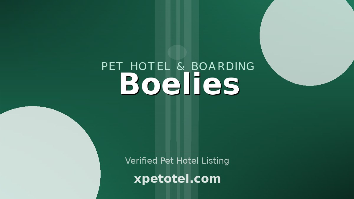 Boelies